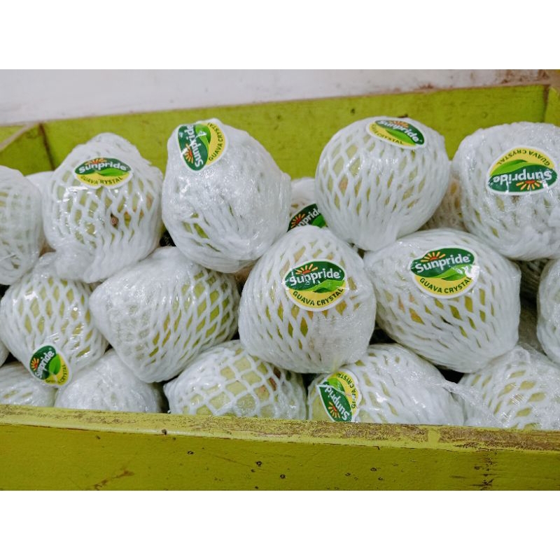 Jual jambu Cristal sunpred(500g) | Shopee Indonesia