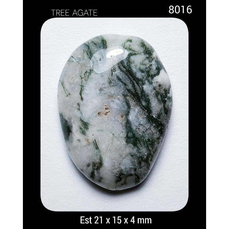 Jual 8016 Batu Tree Agate | Shopee Indonesia