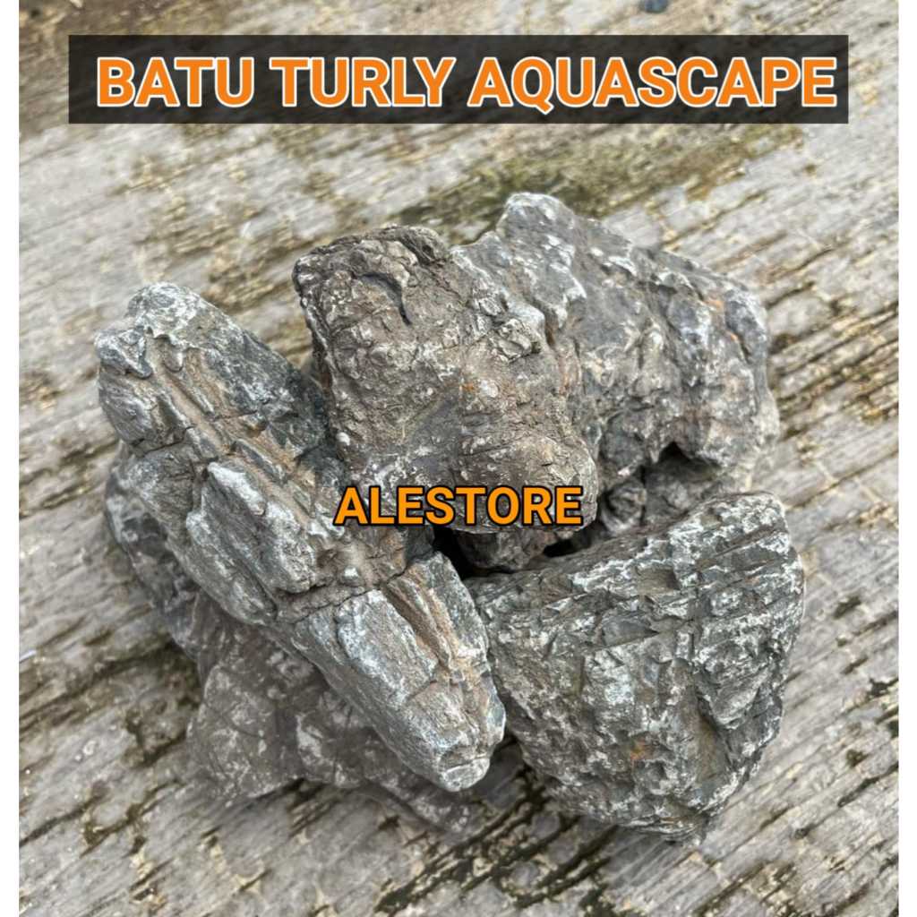 Jual Batu turly 1kg aquascape hardscape aquarium 1kg | Shopee Indonesia