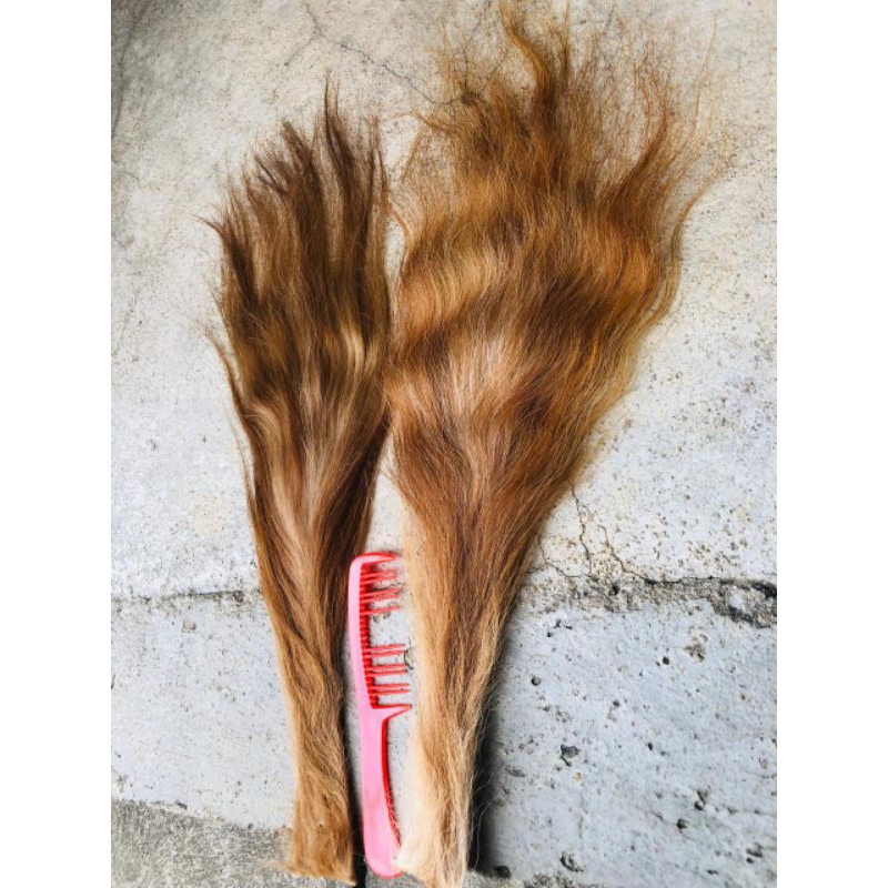 Jual EKOR/BUNTUT SAPI SUPER (RAMBUT BARONGAN) | Shopee Indonesia