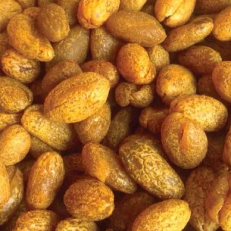 Jual MANISAN BUAH KANA KAMCHO TANPA BIJI BERAT 250GR | Shopee Indonesia