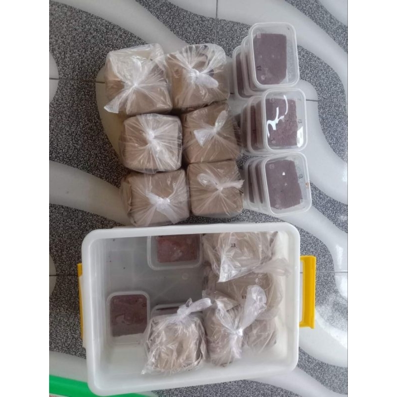Jual Terasi / Belacan / Calok Asli Wang Tobo Selapan Cengal | Shopee ...