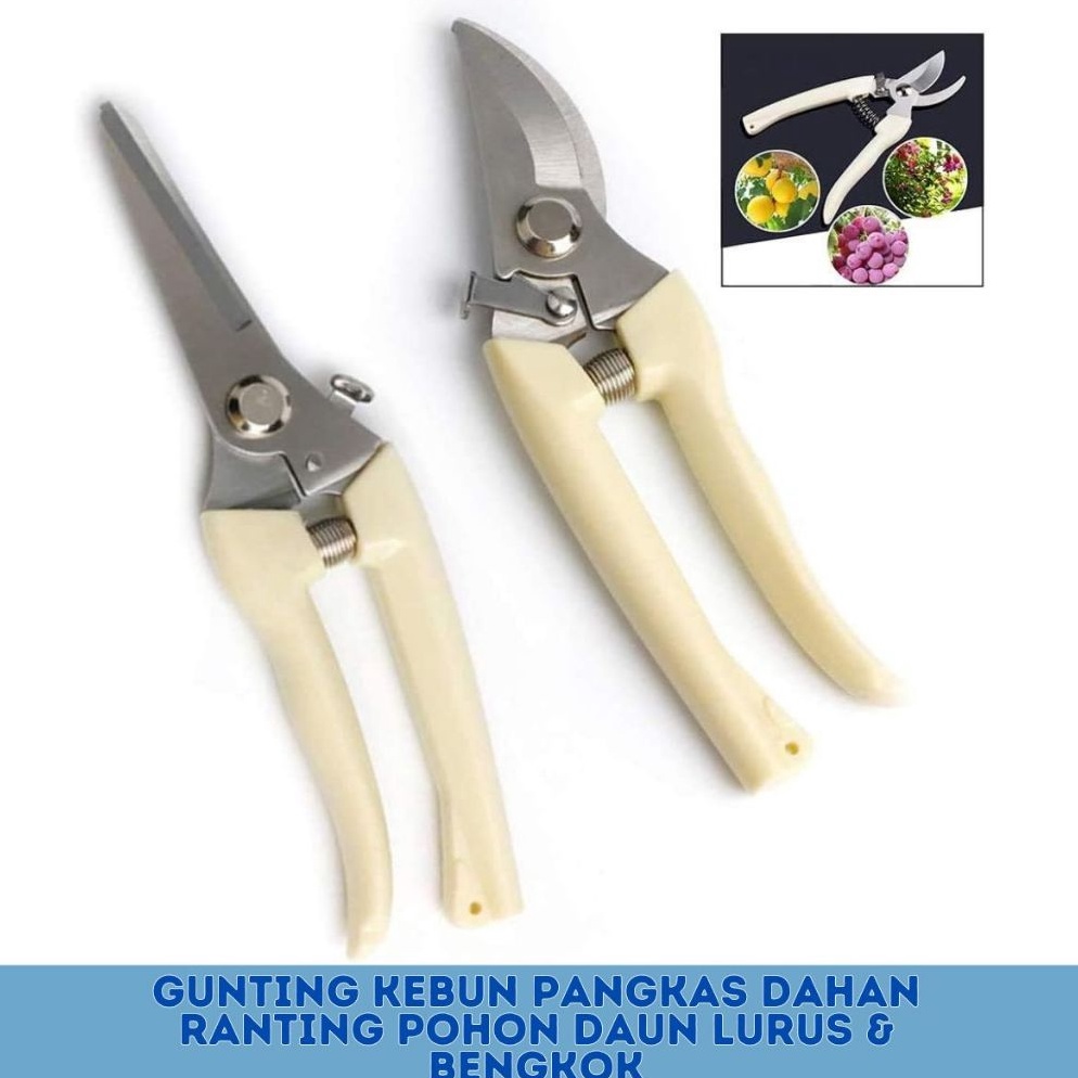 Jual Promotion Gunting Dahan RantingTanaman Super Tajam Peralatan ...