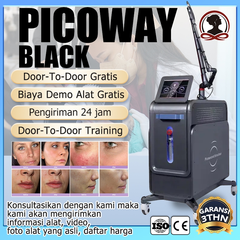 Jual picosecond laser mesin penghapus tato permanen hapus tato permanen
