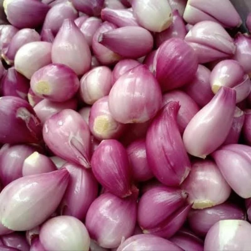 Jual Bawang Merah Kupas Kulit Fresh Rata Ukuran Campur 500 gram ...
