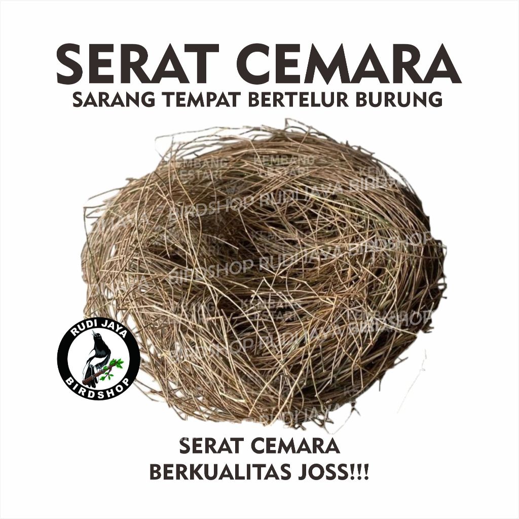 Jual SERAT DAUN CEMARA 1 PCS SUSUH SARANG ALAS TEMPAT BERTELUR TERNAK ...