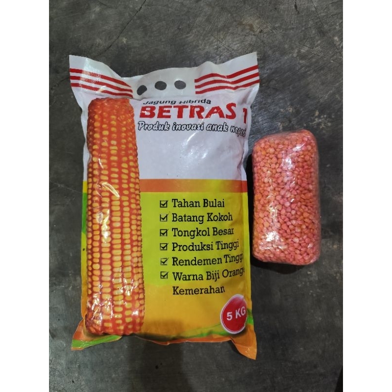 Benih Jagung Hibrida Betras Repack 1 Kilogram 100% Original