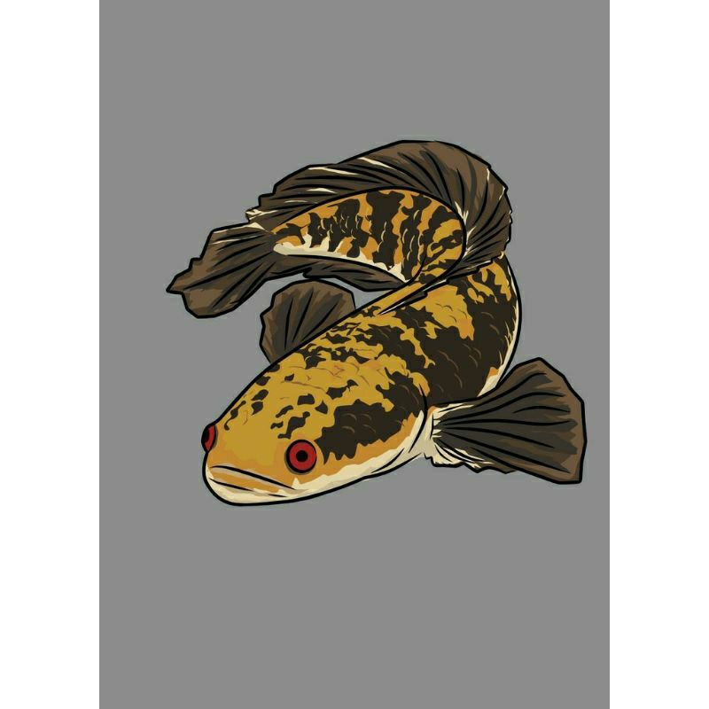 Jual Sticker Chana Maru 20 cm Progres an | Shopee Indonesia