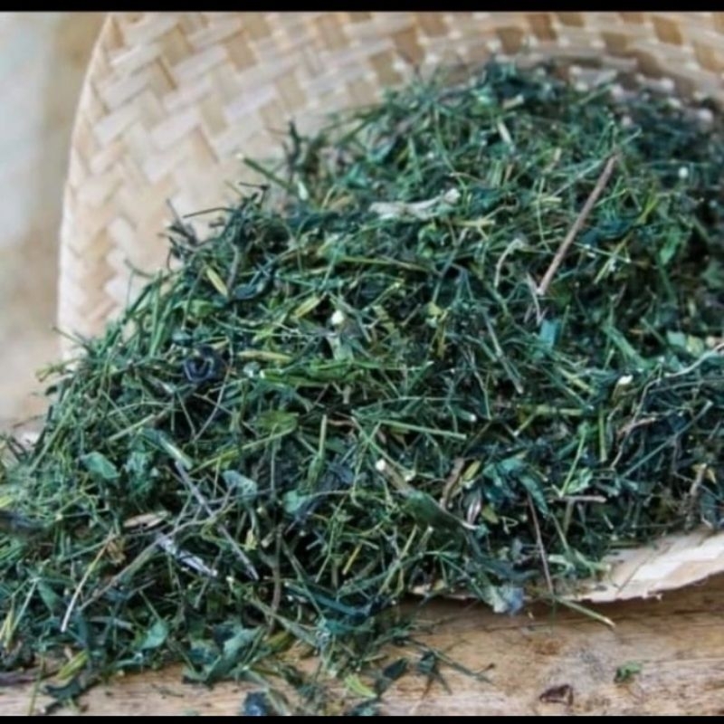 Jual Daun Sambiloto Kering/Daun Bercampur Batang Ranting Sambiloto 1 Kg ...