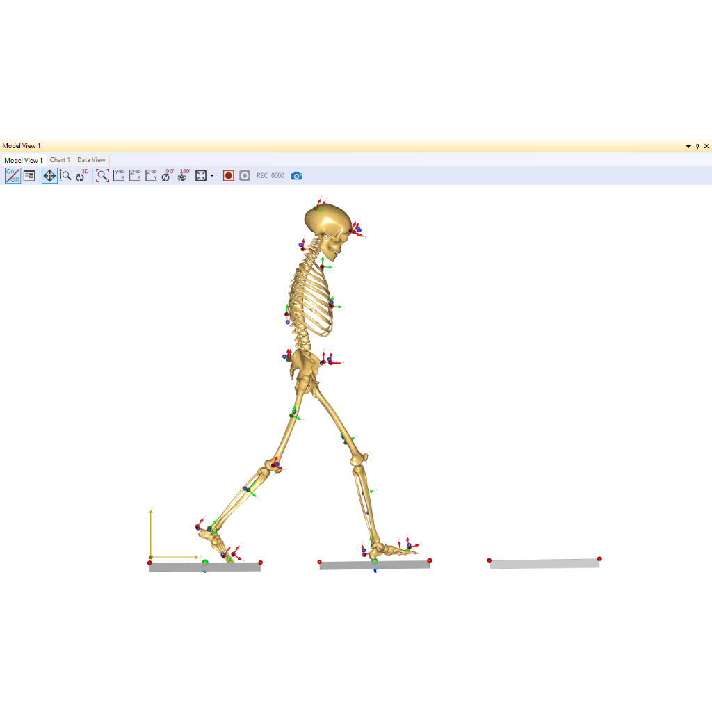 Jual AnyBody Modelling System V.8.0.4 Permanen Software Pemodelan dan ...