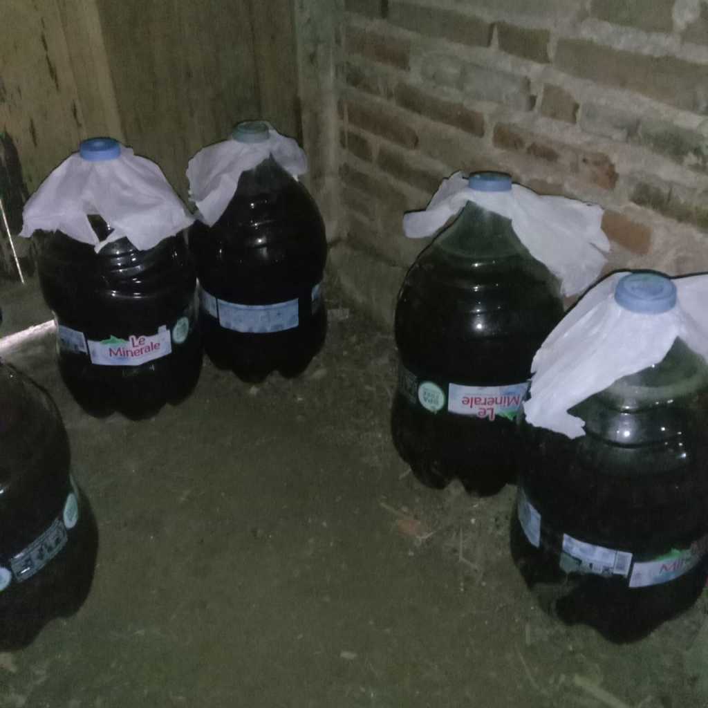 Jual urin sapi fermentasi pupuk organik cair | Shopee Indonesia