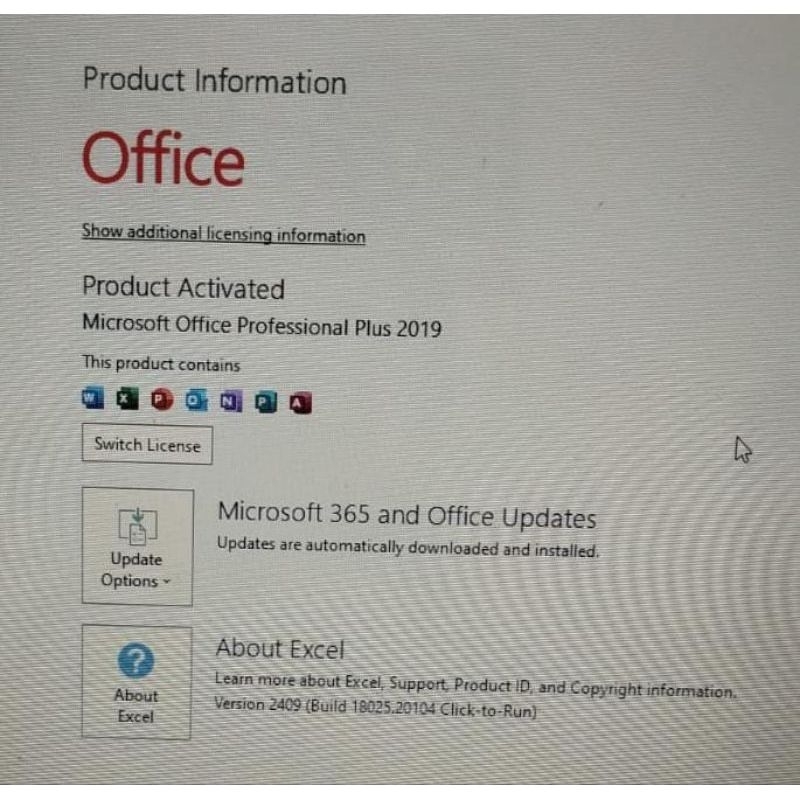 Jual Microsoft Office 2019 pro plus for windows ORIGINAL LIFE TIME ...