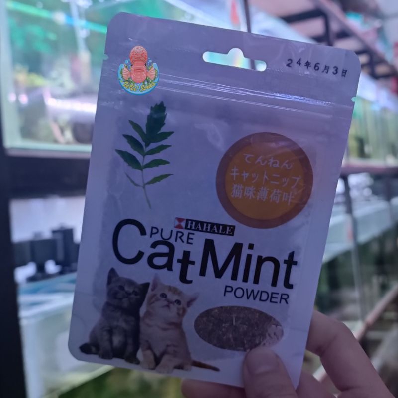 Jual Catnip Catmint Cat Mint - PURE CATMINT POWDER - BIKIN FLY KUCING ...