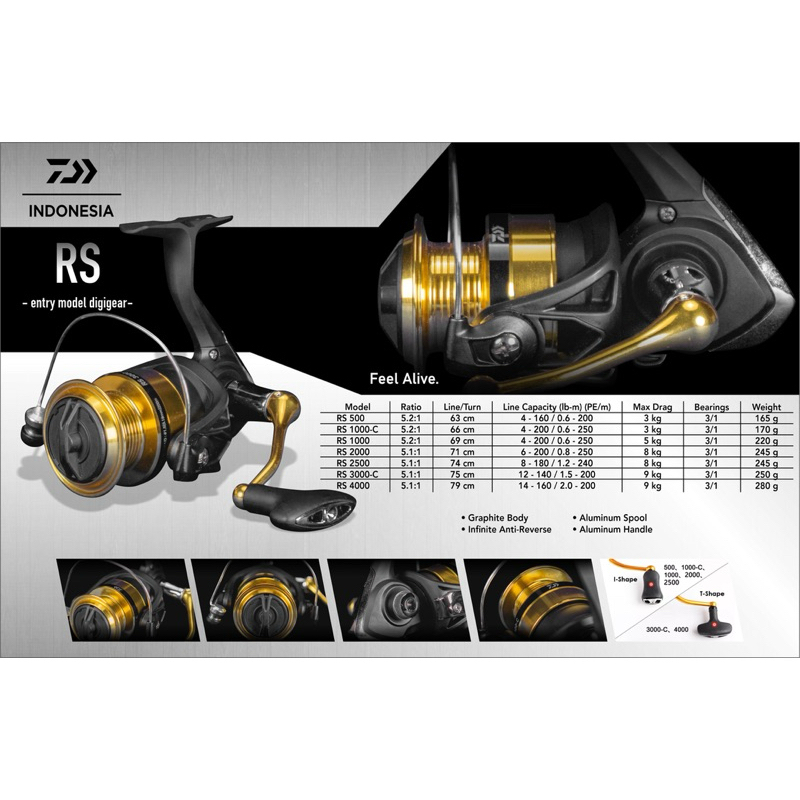 Moulinet De Pêche Daiwa RS 500 - 3 Roulements, Ratio 5.2:1, Capacité 160m/0.16mm - Pour Eau Douce Et Mer, Entrée De Gamme Solide