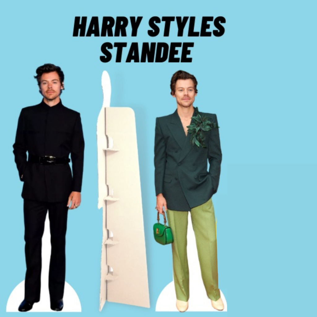 Jual STANDEE HARRY STYLES REAL SIZE / YOURSTANDEE | Shopee Indonesia