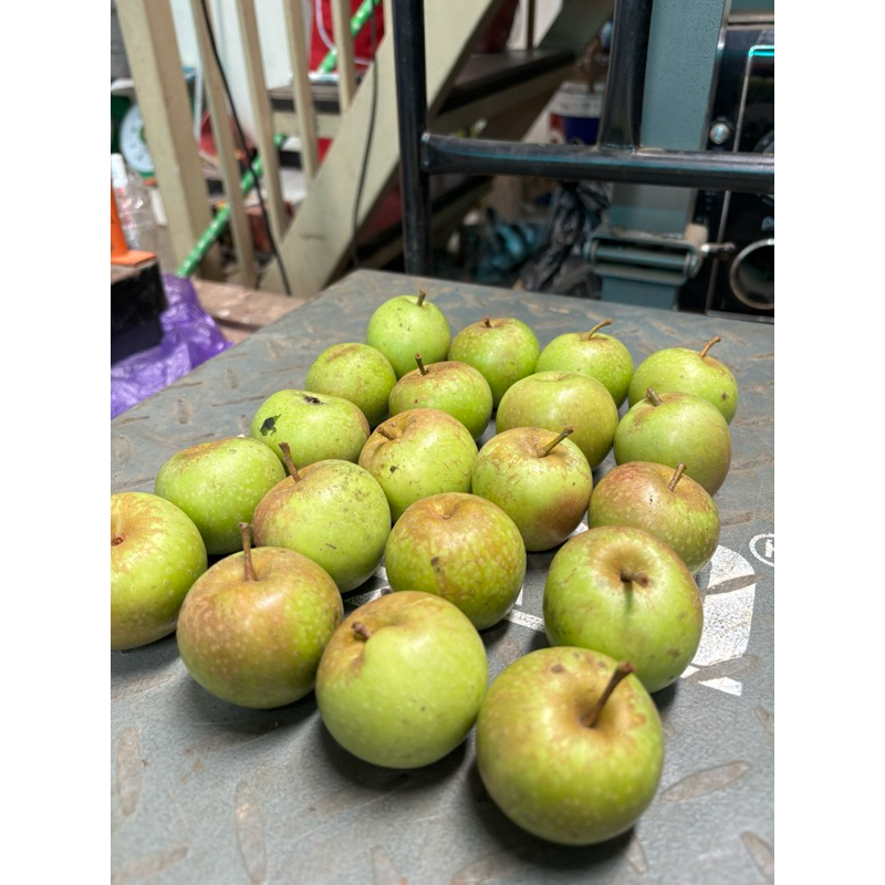 Jual Apel Manalagi Mini 1kg /isi 18-24 buah/apel malang fresh | Shopee ...