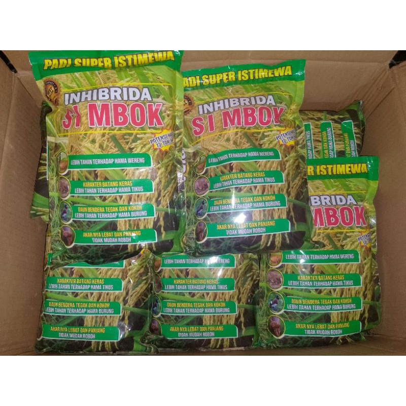 Jual (25 Kg PADI SIMBOK MENTES + BONUS 2 KG SIMBOK MENTES ) | Shopee ...
