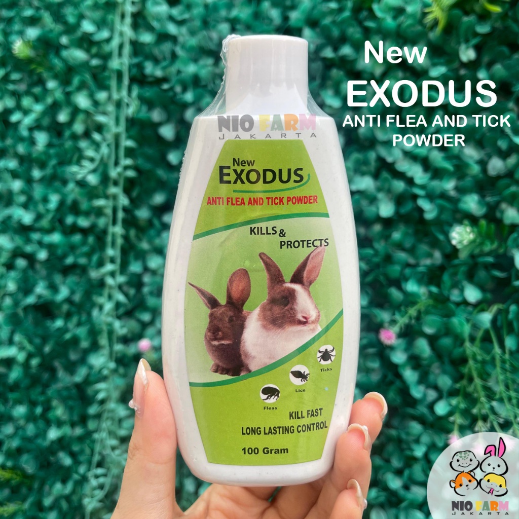 Jual Bedak Kelinci Anti Kutu, Caplak & Ketombe untuk Marmut – Exodus ...