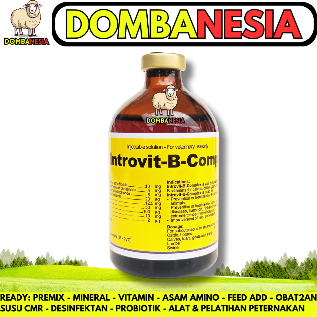 Jual INTROVIT B COMPLEX 100ml Original - (KONSENTRASI TINGGI DAN BIOTIN ...