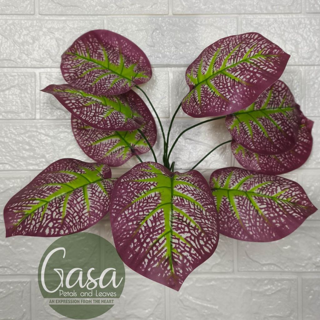 Jual Tanaman Calathea Baraka Purple - Artifisial Semi Lateks - GASA ...