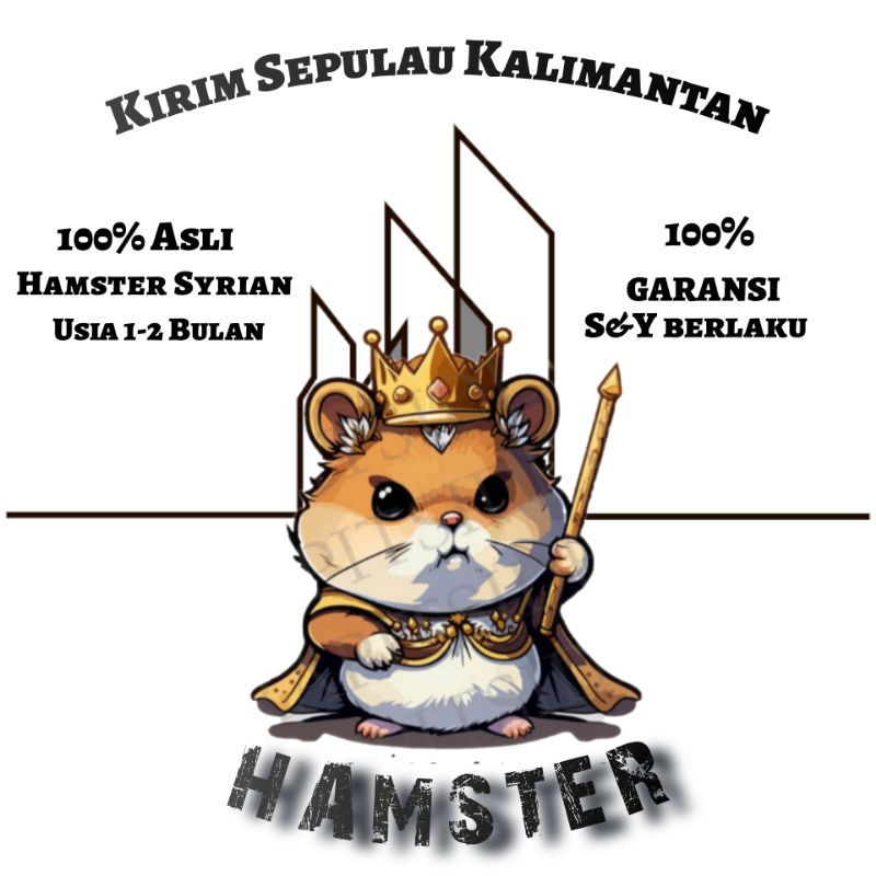 Jual box + HaMaster Sepasang(sudah box Packing) | Shopee Indonesia