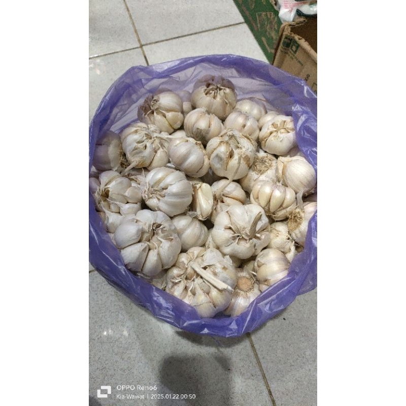 Jual COD Bawang Putih Super / 1 kg | Shopee Indonesia