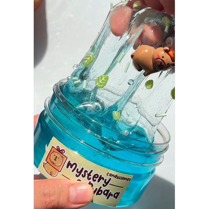 Jual MYSTERY CAPYBARA SLIME by Candysslimex premium | Shopee Indonesia