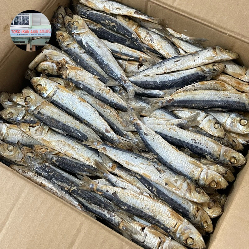Jual Ikan Asin Sarden/Lesi/Japuh Rebus | Shopee Indonesia