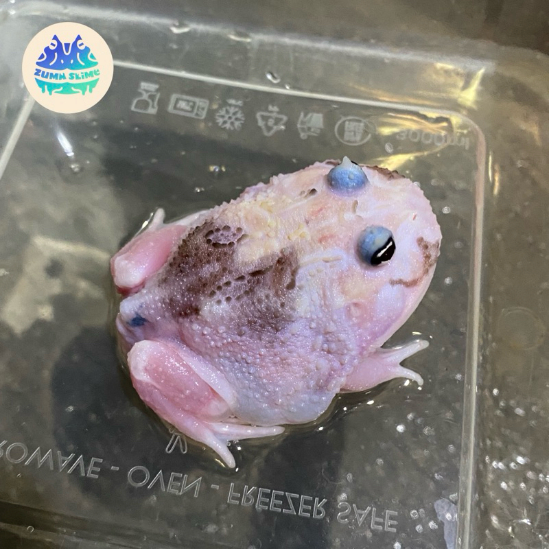 Jual pacman mutant chicken full black eyes code 1 | Shopee Indonesia