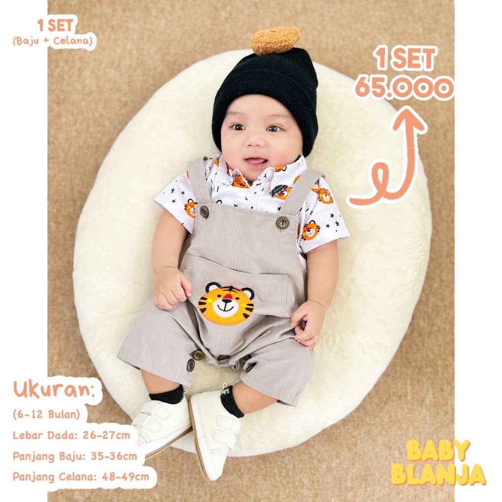 Jual Baju Bayi Laki Laki 3 9 Bulan Theo Set | Shopee Indonesia
