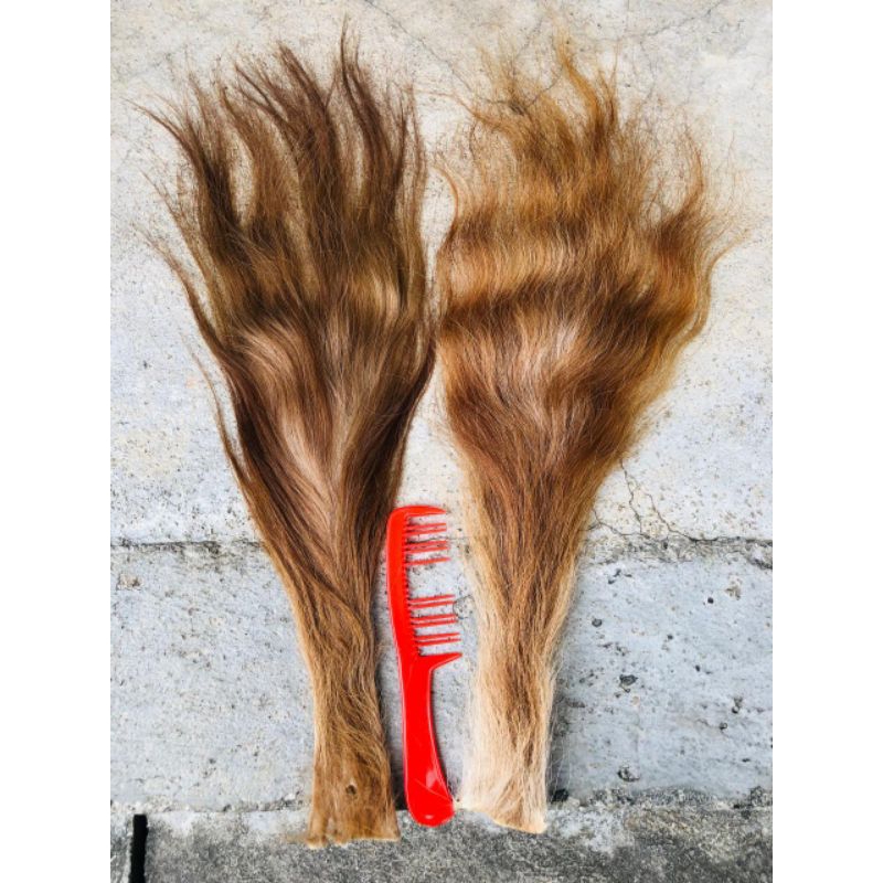 Jual EKOR/BUNTUT SAPI SUPER (RAMBUT BARONGAN) | Shopee Indonesia