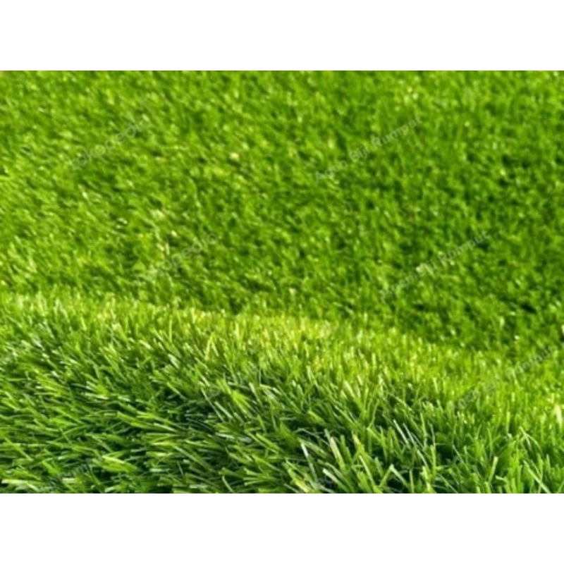 Jual RUMPUT SINTETIS SWISS 3CM KARPET RUMPUT SINTETIS SWISS | Shopee ...