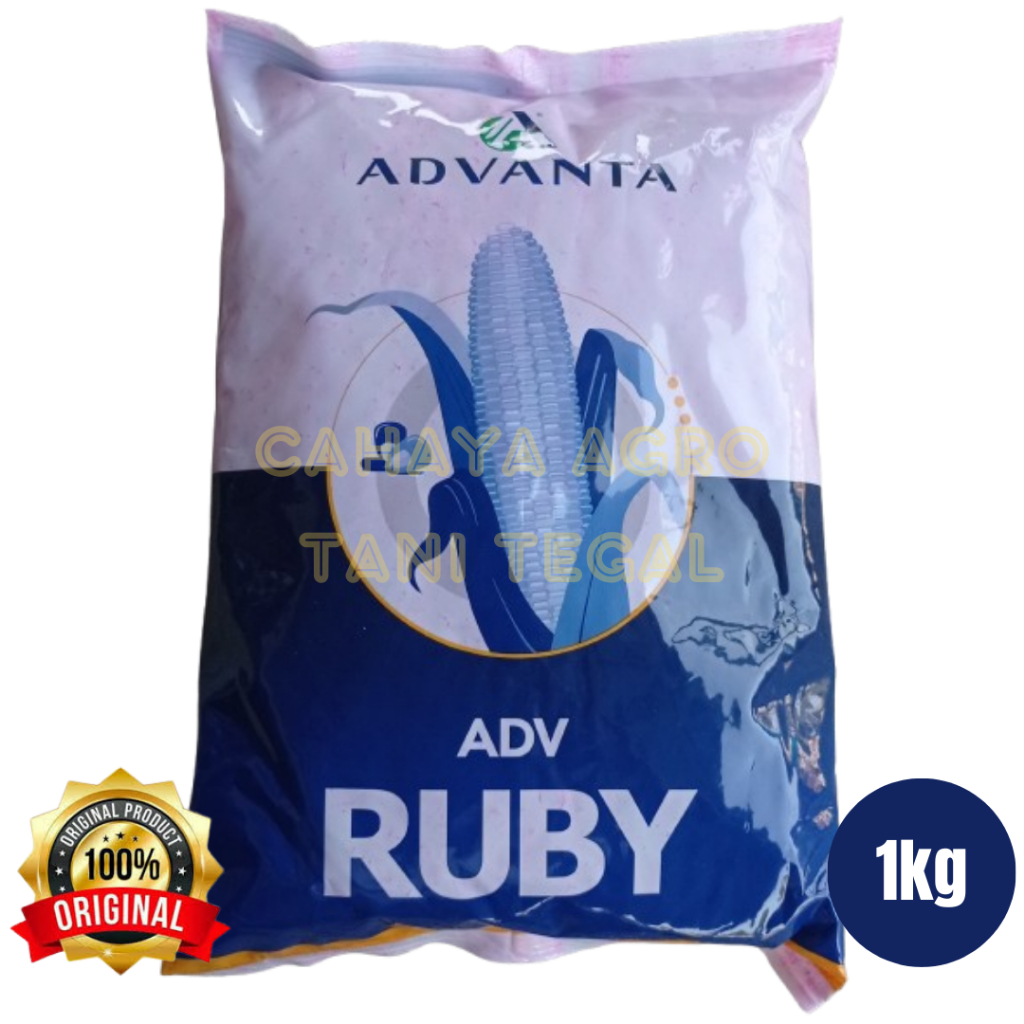 Jual Benih Jagung Advanta ADV 777 RUBY 1 kg | Shopee Indonesia