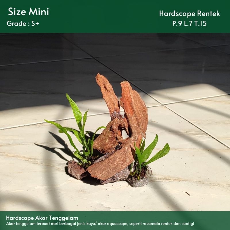 Jual HARDSCAPE AKAR RENTEK TENGGELAM MINI |FREE PACKING |Soliter ...