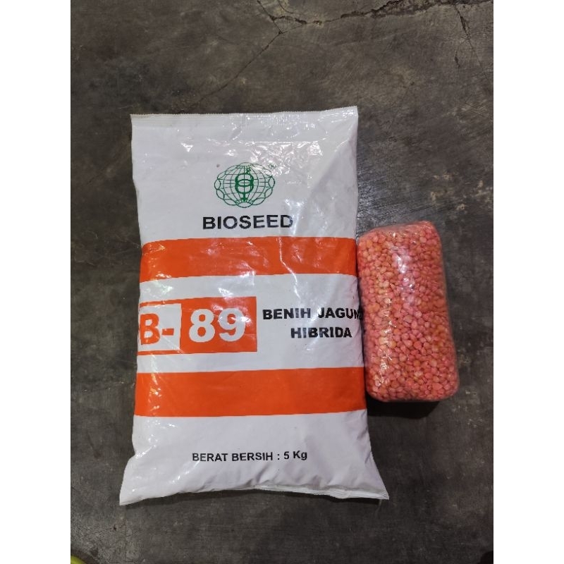 Benih Jagung Hibrida B-89 REPACK 100% Original