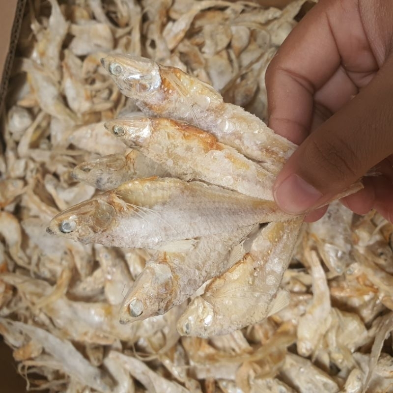 Jual IKAN ASIN BULU AYAM KERING/IKAN ASIN BULU AYAM SUPER BERAT 250GRAM ...