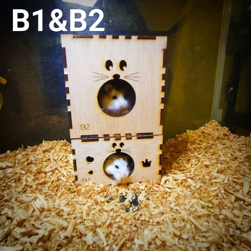 Curated visual reference: Picture Idea: Jual B1B2 Rumah Hamster Hiding Box Hamster Rumah Hamster Lucu