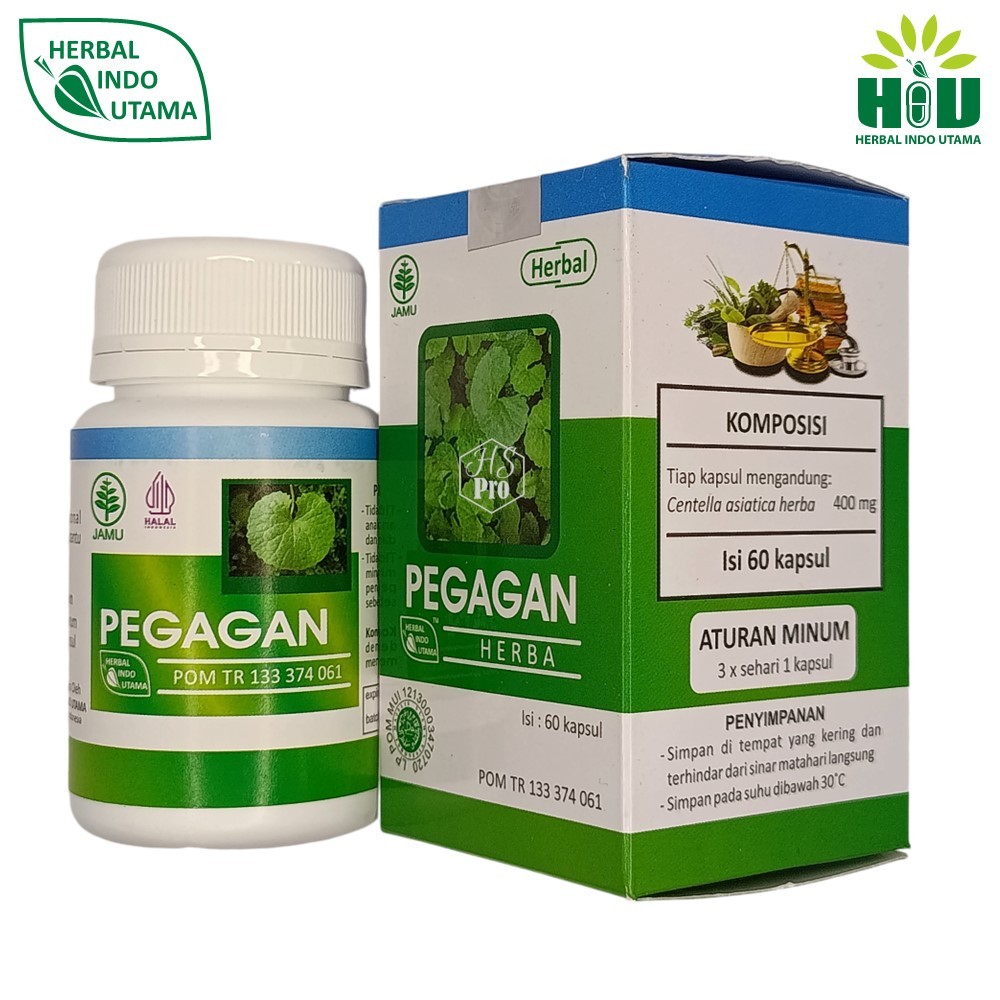HERBAL INDO UTAMA Pegagan Ekstrak Membantu Sirkulasi Darah isi 60 Kapsul Terdaftar BPOM