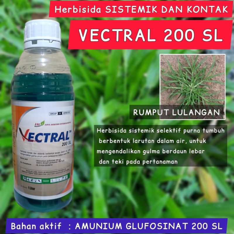 Jual OBAT RUMPUT VECTRAL SISTEMIK DAN KONTAK BASMI RUMPUT LULANGAN DAN ...