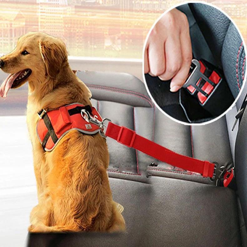 Jual Pet Strap / Tali Harness Anjing Kucing (Polos Tanpa Motif ...
