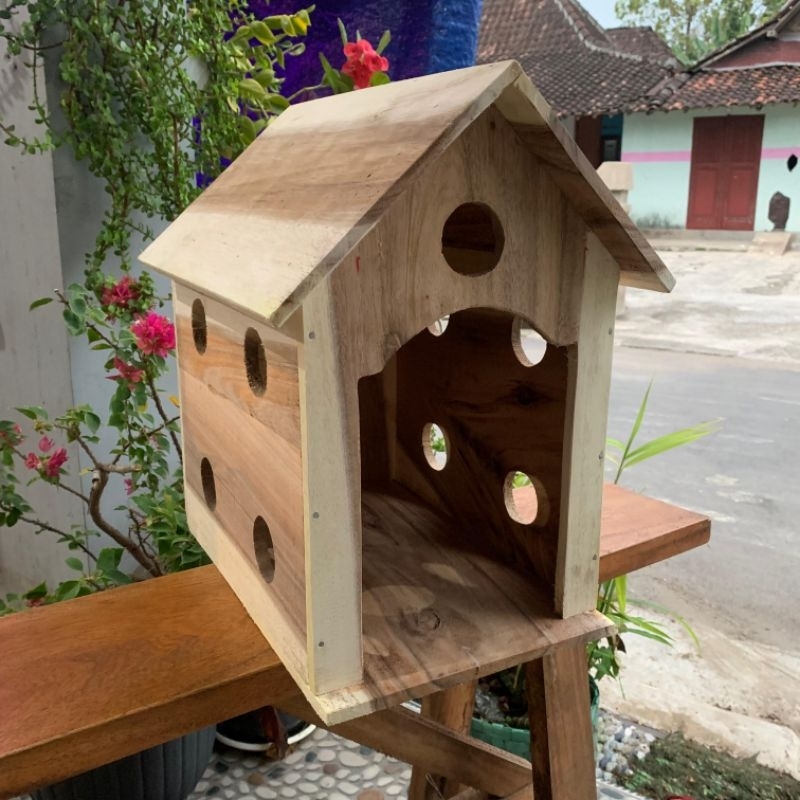 Jual Kandang Kucing Single Kayu Pilihan Terbaik - Tinggi 42 cm, Lebar ...