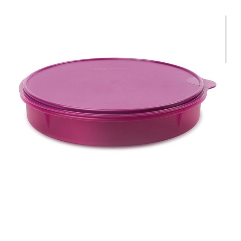 Jual Tupperware take a lot 30cm lebar tempat kue basah potongan cake ...