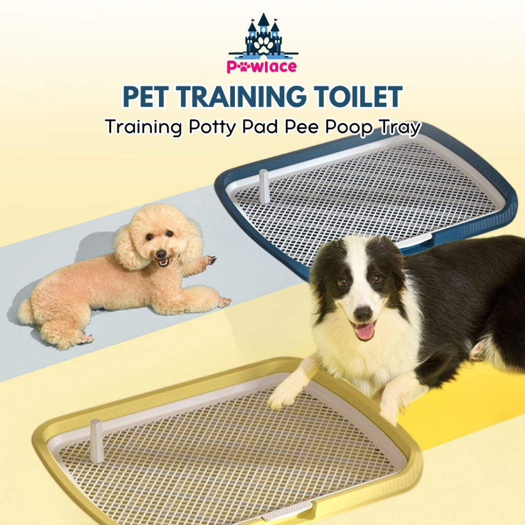 Jual Premium Toilet Training Anjing Kucing Training Potty Pad