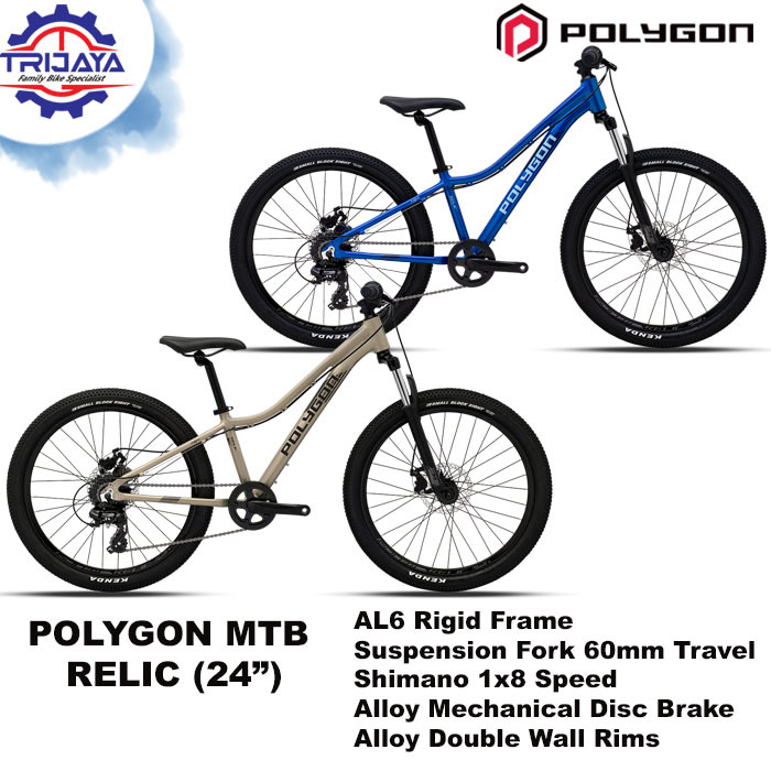 Jual Polygon Relic [24 inch] Sepeda MTB Anak | Shopee Indonesia