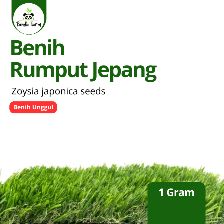 Jual Rumput Jepang Terlengkap & Harga Terbaru Juli 2026 | Shopee Indonesia