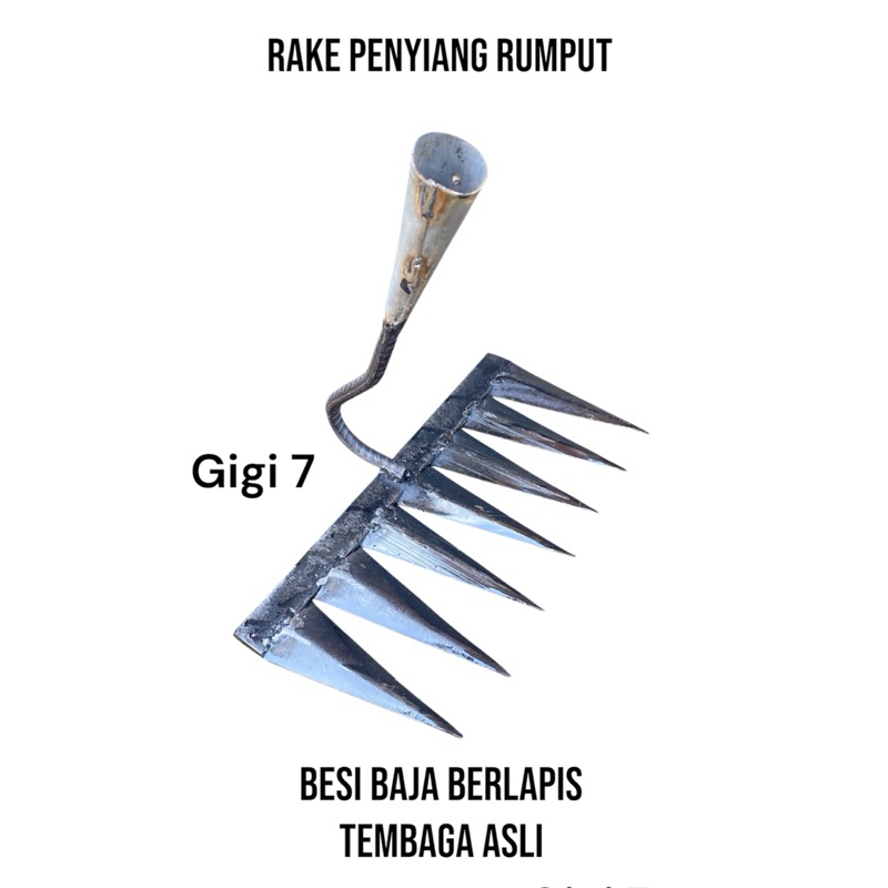 Jual Rake alat pembersih rumput alat penyiang gulma pencabut rumput ...