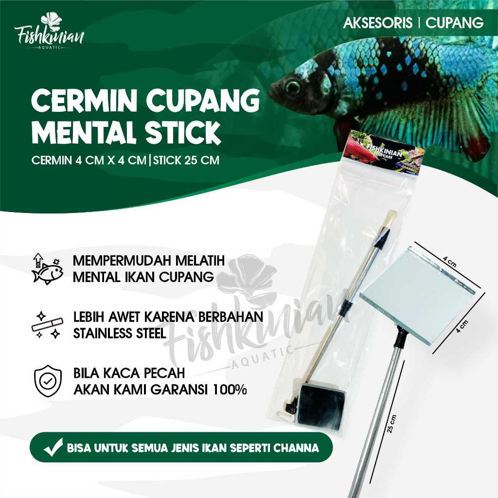 Jual Fishkinian | Mental Stick Cupang - Cupang Biar Ngedok!! | Shopee ...