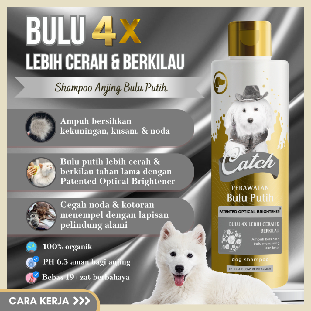 Catch Shampo Anjing Bulu Putih Bulu 4x Lebih Cerah Berkilau dengan  Optical Brightener
