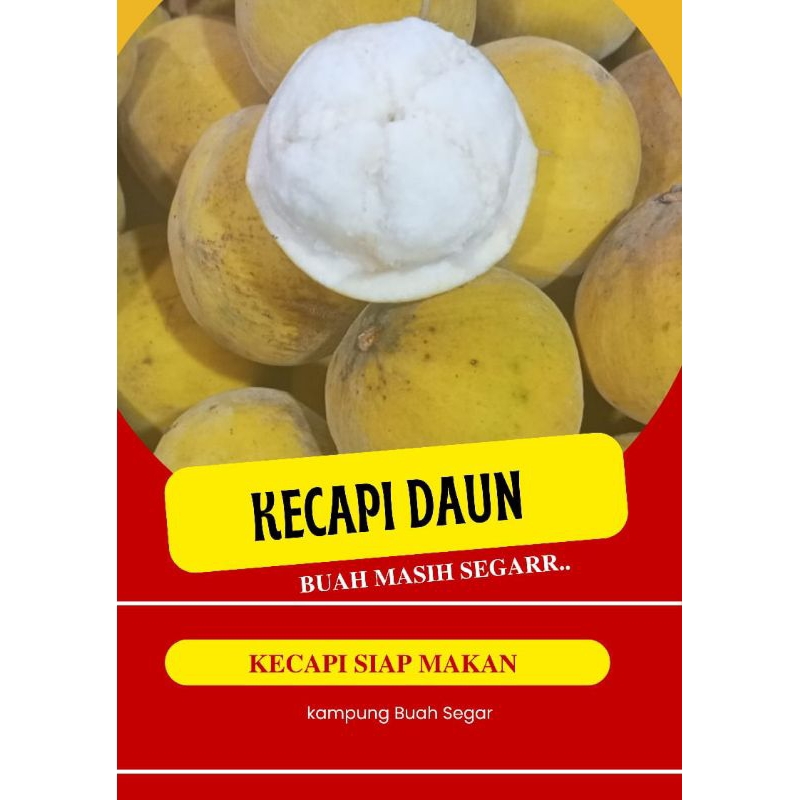 Jual Kecapi Daun Manis & fres 1kg | Shopee Indonesia