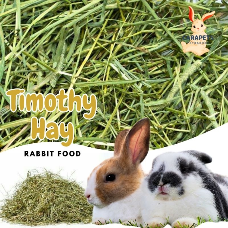 Jual Timothy hay/rumput/Hay rabbit/50gr | Shopee Indonesia